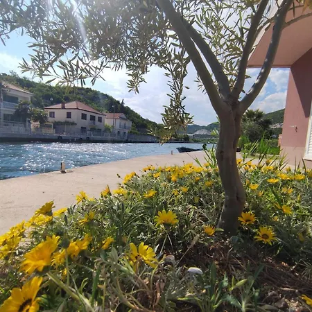 شقة With Parking Space Rogotin, Neretva Delta - Usce Neretve - 23141